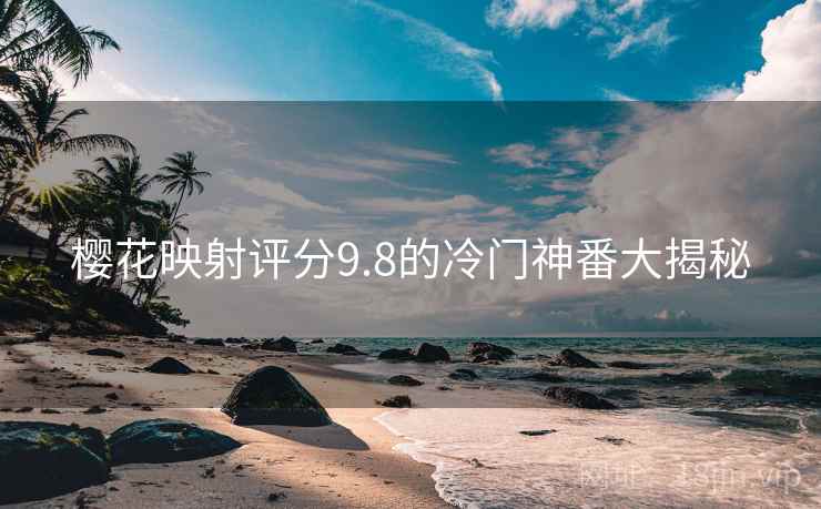 樱花映射评分9.8的冷门神番大揭秘