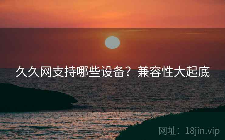 久久网支持哪些设备？兼容性大起底