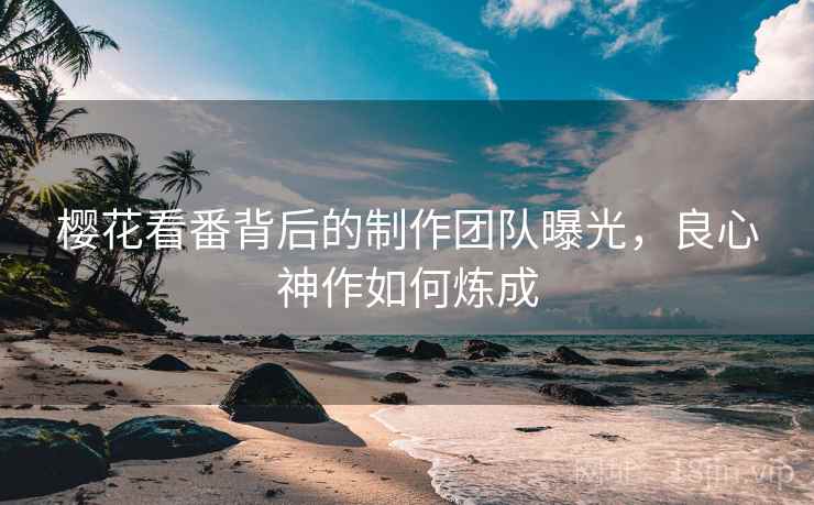 樱花看番背后的制作团队曝光，良心神作如何炼成