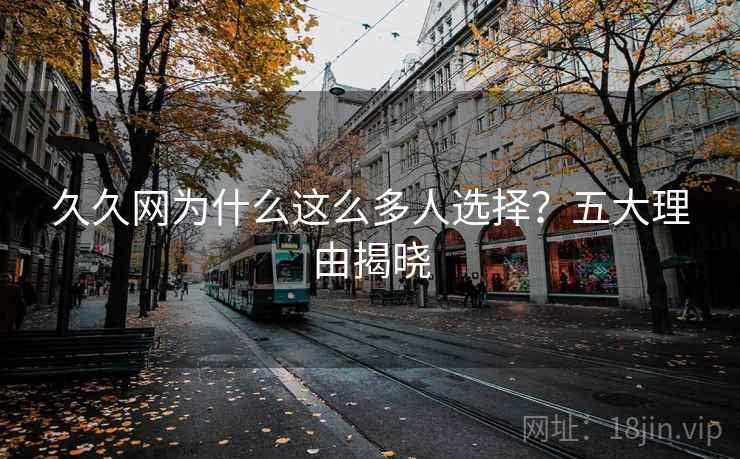 久久网为什么这么多人选择？五大理由揭晓