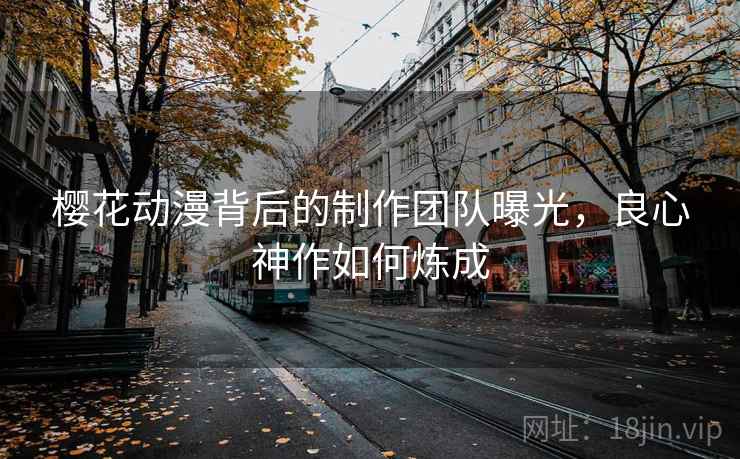樱花动漫背后的制作团队曝光，良心神作如何炼成